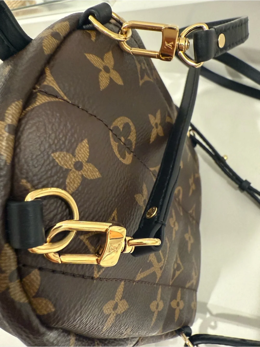 Louis Vuitton Palm Springs Mini Backpack